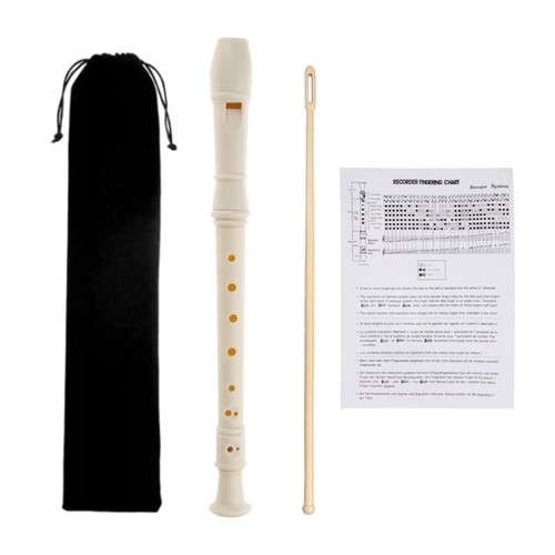Recorder instrument soprano - recorder,