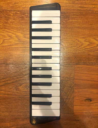 Hohner cassotto soprano - 26,