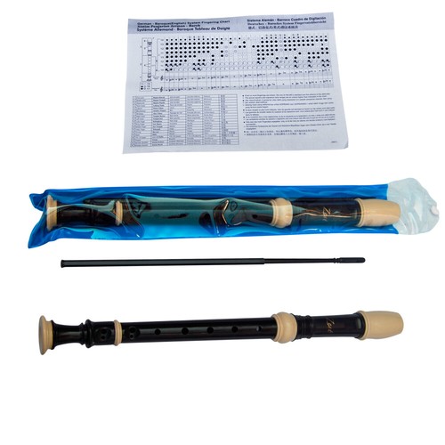 Zest descant soprano - zest, recorder
