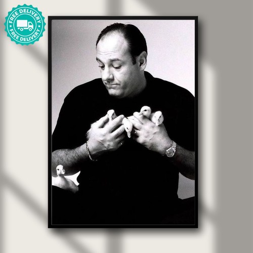 Vintage tony soprano - soprano, duck
