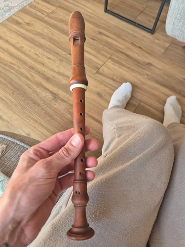 Tim cranmore descant recorder